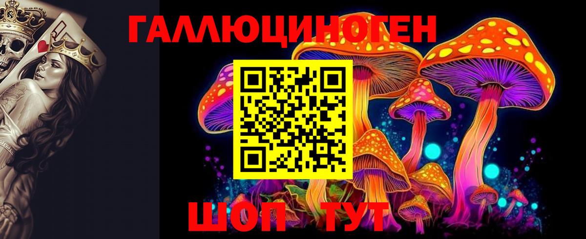 Галлюциногенные грибы GOLDEN TEACHER Саянск